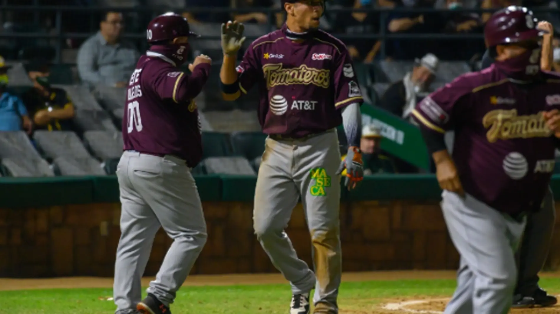 Tomateros 3